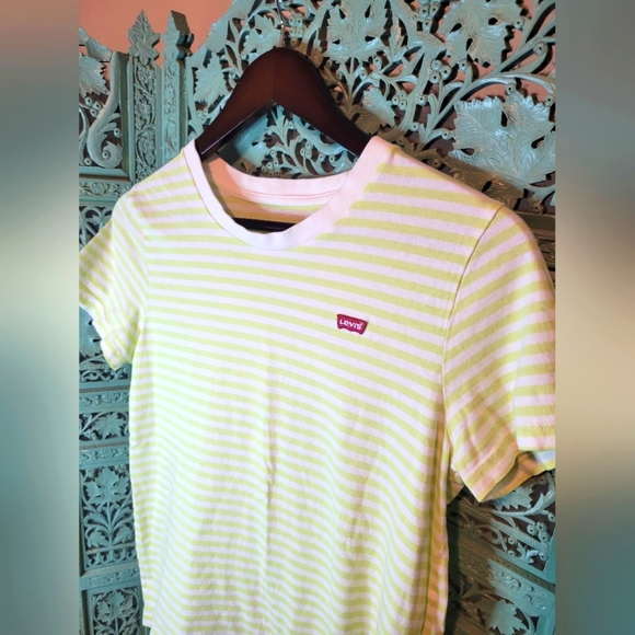 Levi | Perfect Crew Striped Tee | Lime Green & Cream Striped | Size Small - Picture 1 of 9